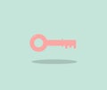 Design about the key that is pinged Royalty Free Stock Photo