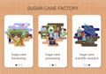 Set of mobile app pages of sugar cane factory about sugar cane harvesting, processing and scientific recearch Royalty Free Stock Photo