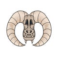 Design of monster skull head with horns and tusks