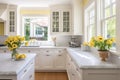 Design an open and airy kitchen with pale yellow walls and flowers Royalty Free Stock Photo