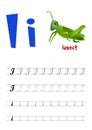 Design page layout of the English alphabet to teach writing upper and lower case letters I.