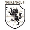 Design patch. Heraldic shield with a Werewolf, Helm of Awe and rune Wolfsangel