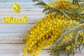 Design of a postcard for International Women's Day. Yellow mimosa flowers and the inscription March 8 in English. Royalty Free Stock Photo