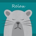 Design of a relax gray cat`s times for any template