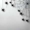 spider white background Royalty Free Stock Photo