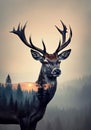 a deer Royalty Free Stock Photo