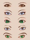 Design set of five pairs of female eyes