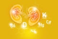 Essential nutrients for Kidneys health including Natrium, Magnesium, Vitamin B6, Calcium.