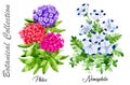 Design set of Phlox and Nemophila flowers isolated on white