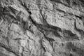 design space background stone grungy gray close surface mountain layered cracked texture rock white black Royalty Free Stock Photo
