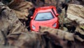 Model of red car, in autumn leaves Royalty Free Stock Photo