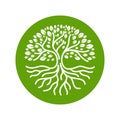 Tree roots circle logo icon