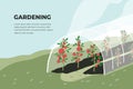 Design template of farming gardening with tomato plants greenhouse