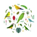 Design template with parrots in circle for kid print. Round composition of tropical birds Neophema, senegal, rose ringed