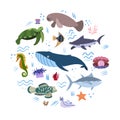 Design template with sea animal in circle for kid print. Round composition of marine animals, turtle and sea horse