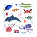 Design template with sea animal in square for kid print. Rectangle composition of marine animals, dolphin, octopus and Royalty Free Stock Photo