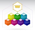 Design template with seven colorful option and icons infographic hexagons