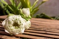 Design for three lotus flowers green buds on bamboo wood table and copy space on plant background Royalty Free Stock Photo