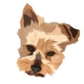Design vecktor cute brown dog face with thick fur