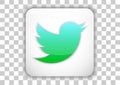 Twitter social media icon design white square background