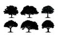 Oak Tree Silhouette Cliparts Royalty Free Stock Photo