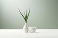 Plant design interior decorative white background interior table green background flowers vase Royalty Free Stock Photo