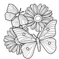 Two butterflies and two gerberas