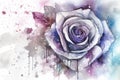 Design a watercolor painting of a purple rose with a mystical and magical effect
