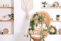 Design wicker chair and leaves decorations in stylish interior. Rattan peacock armchair by white wall in living room.