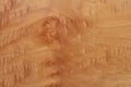 Design of wood texture