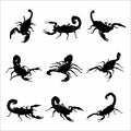 collection of scorpion silhouettes, on a white background Royalty Free Stock Photo