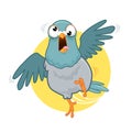 Pigeon bird mascot cartoon
