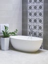 Designed freestanding bath in gray and white modern bathroom Royalty Free Stock Photo