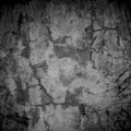 Designed grunge plastered wall texture, background Royalty Free Stock Photo