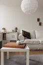 Designed living room interior Royalty Free Stock Photo