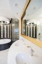 Designed shower in gleaming bathroom