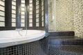 Designed shower in gleaming bathroom