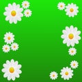 Designer background with the flowers of white color