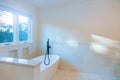 Designer bathroom with bath tub shower Royalty Free Stock Photo