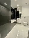Designer black white bathroom Royalty Free Stock Photo
