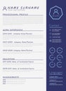 Simple modern resume cv design template