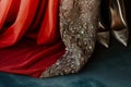 designer shoes and hem of a glamorous gown Royalty Free Stock Photo