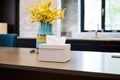 designer tissue box featured in an upscale office setting Royalty Free Stock Photo