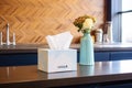 designer tissue box featured in an upscale office setting Royalty Free Stock Photo