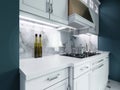Designer white kitchen furniture in a classic style with blue walls