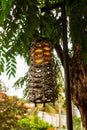 Designer wicker street lamp in the tropics Royalty Free Stock Photo