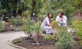 Designer woman choose beautiful plant in eco garden for new client