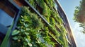 Designing Vertical Gardens for Small Apartments Royalty Free Stock Photo