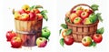 Bushel basket of apples, Bushel basket of agricultural crops & fruits Watercolor style isolated on white background.