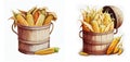 Bushel basket of Corns, Bushel basket of agricultural crops & fruits Watercolor style isolated on white background.